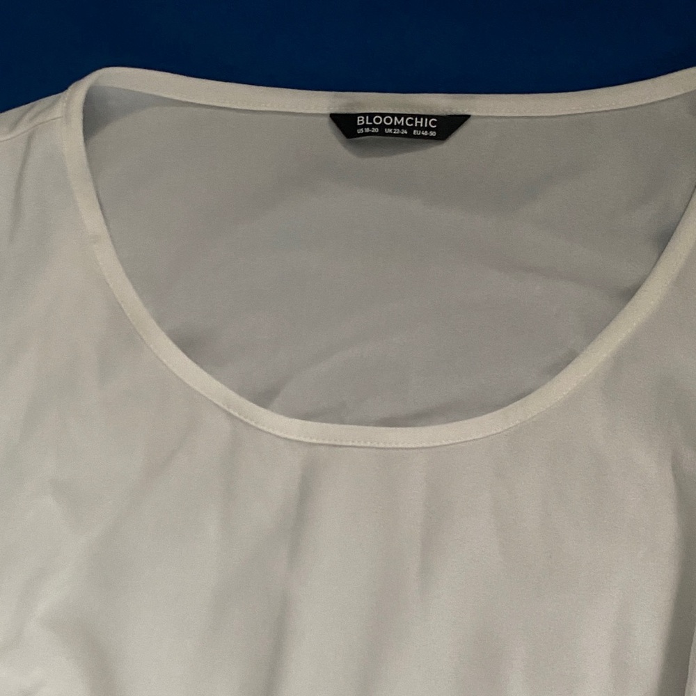 BloomChic Sheer White Top
